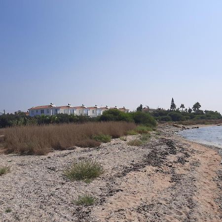 Villa Anastassia Айя Напа Екстериор снимка