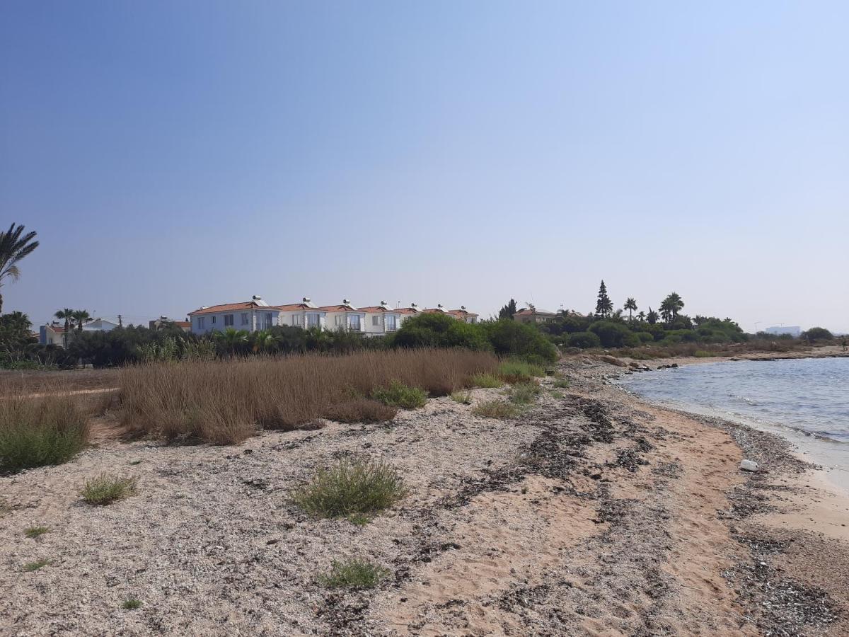 Villa Anastassia Айя Напа Екстериор снимка